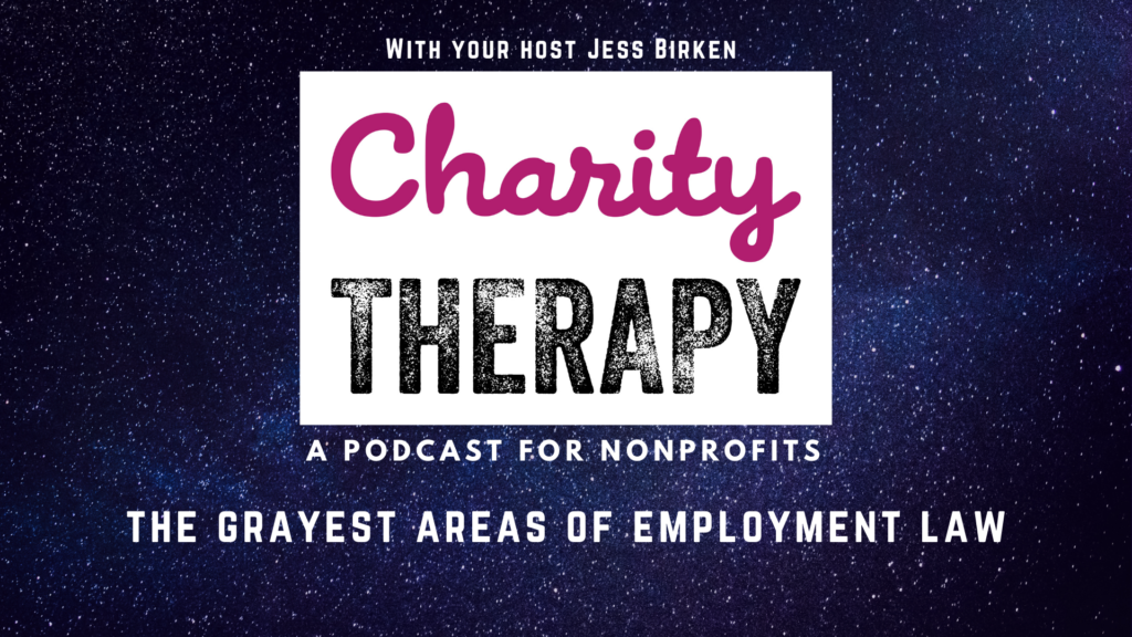 nonprofit employment law