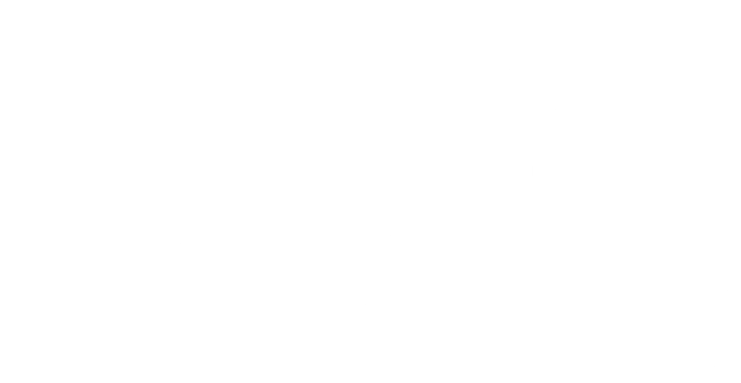 Logo_HYP_White