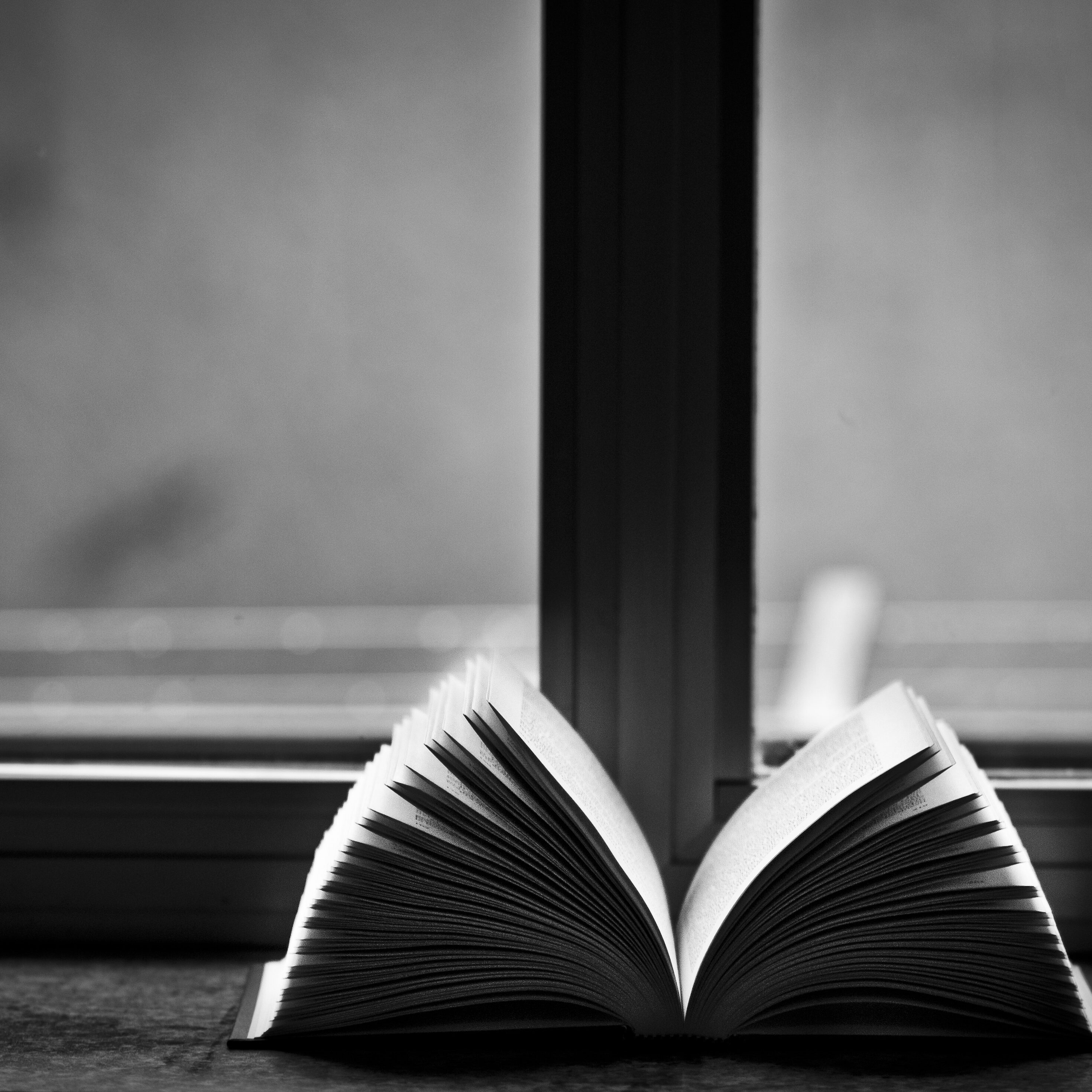 BW_BookOpenInWindowSill open book in black and white