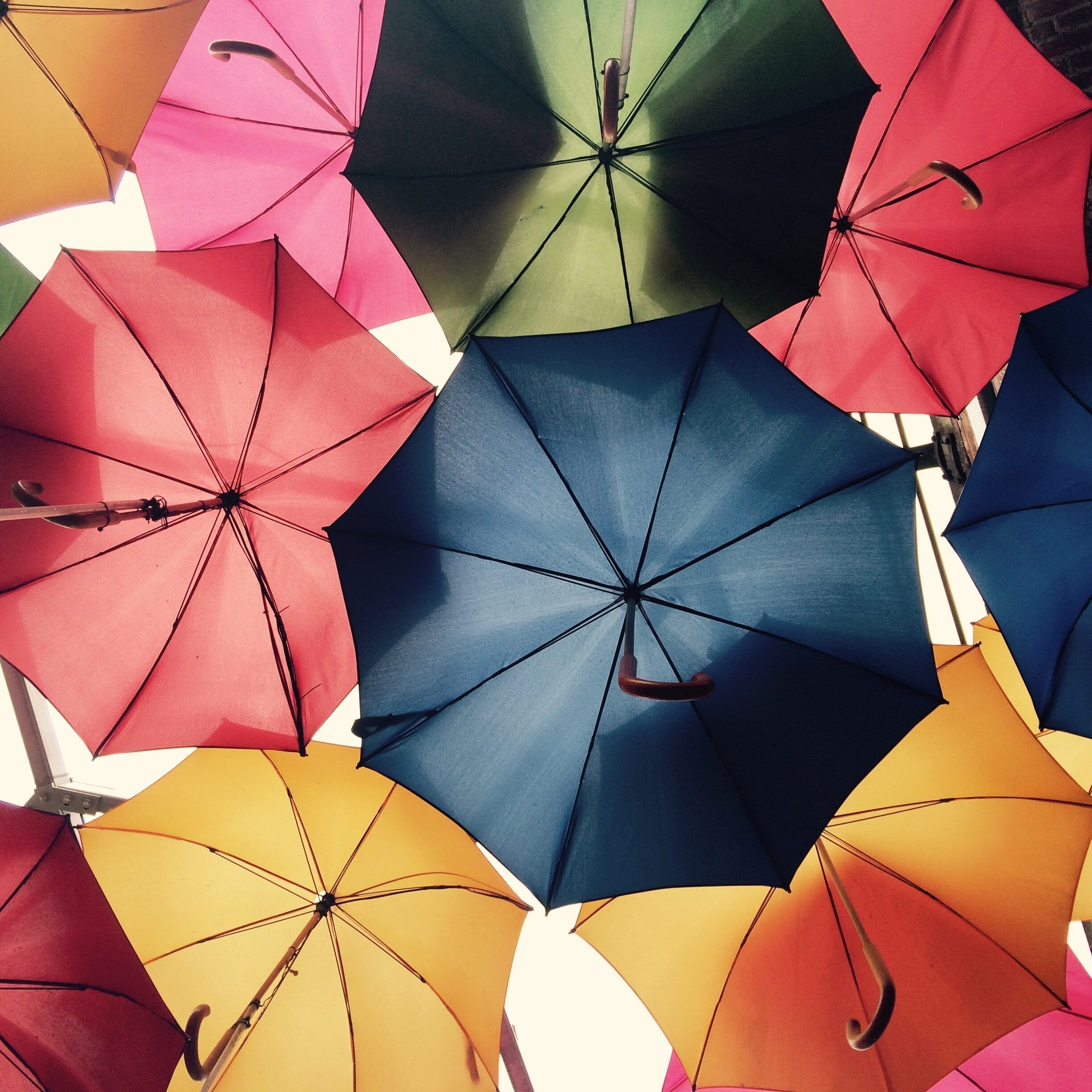 Umbrellas_color umbrellas
