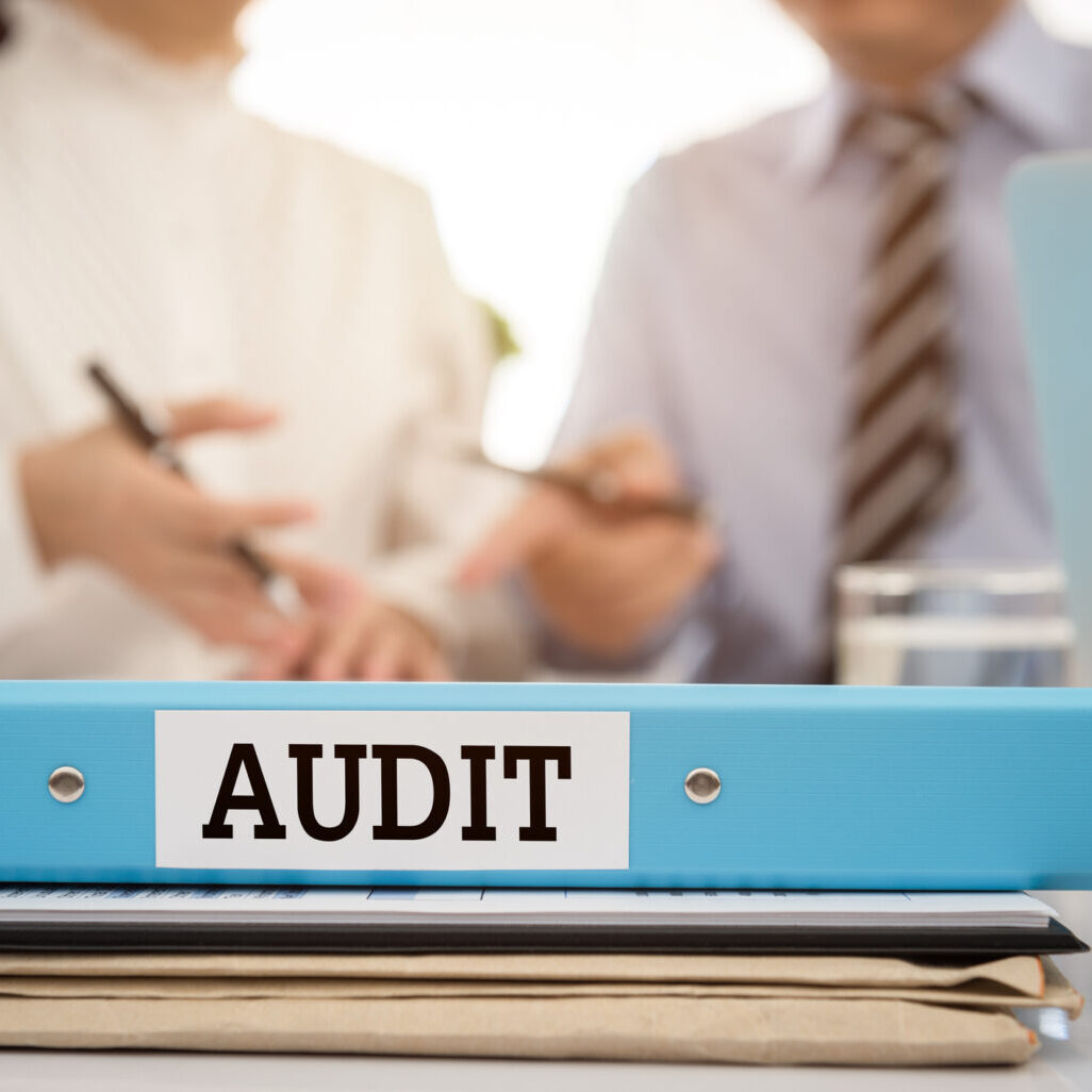AUDIT The certification document file financial statements with the auditor are providing advice to manager. Concept of Audit.
