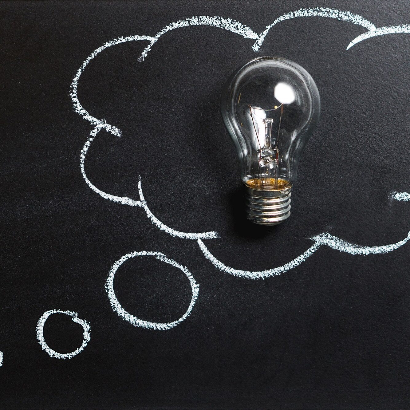 Nonprofit-business-idea-light-bulb thought bubble with lightbulb inside